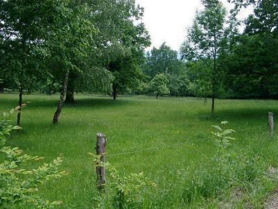 HG 2003 - Bild 2