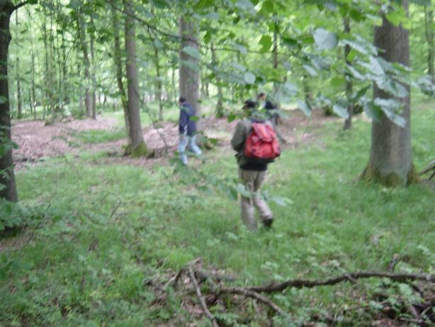 HG 2006 - Bild 70
