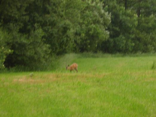 HG 2007 - Bild 56