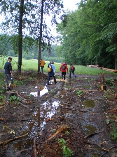 HG 2007 - Bild 66