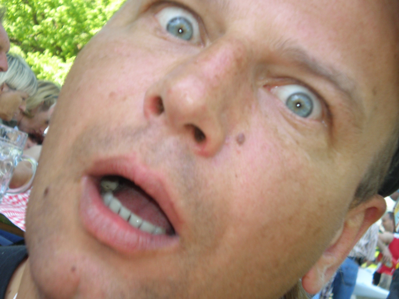 HG 2008 - Bild 57