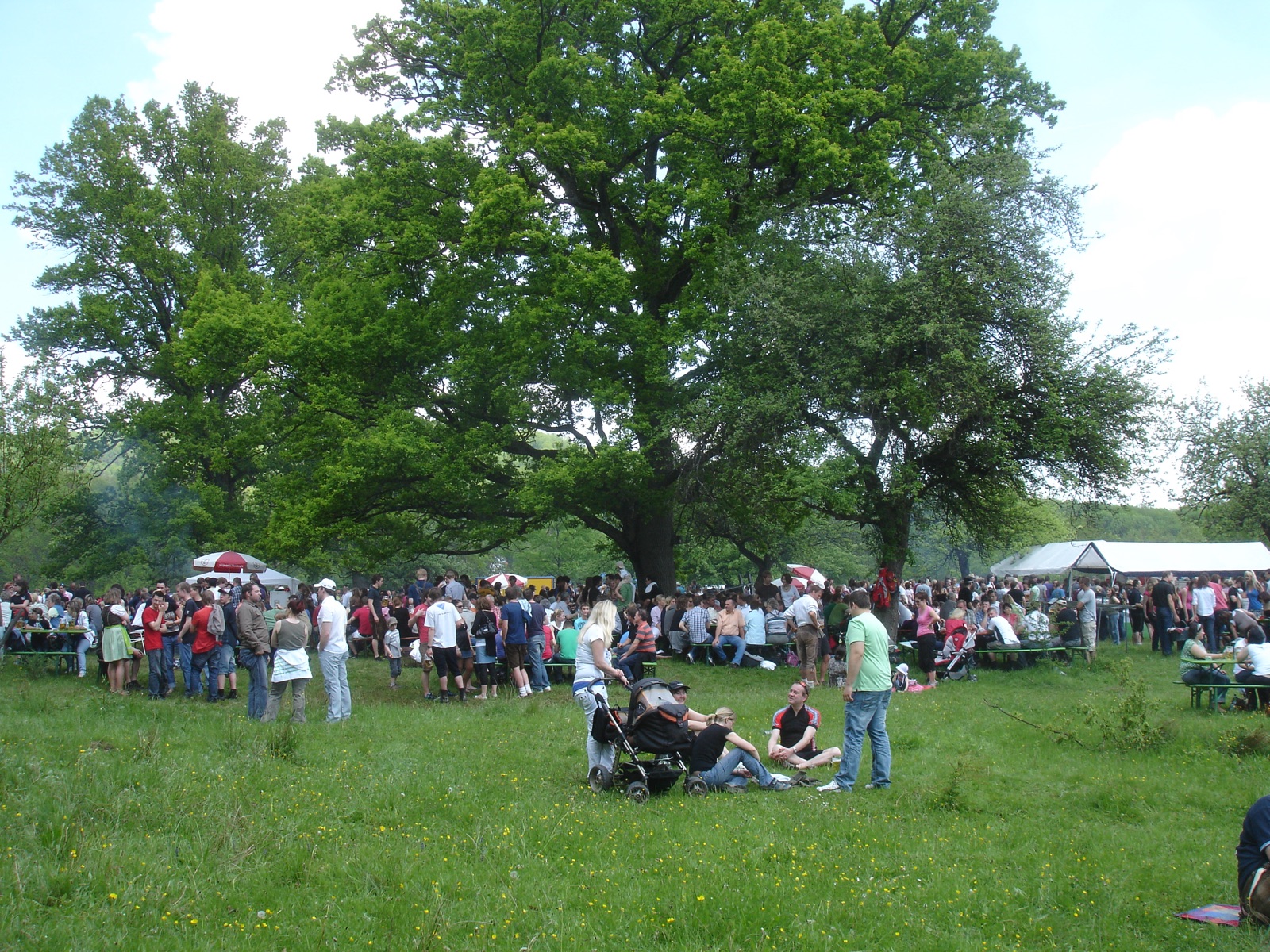 HG 2010 - Bild 52