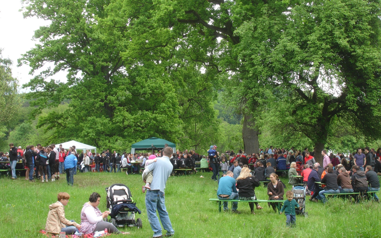 HG 2013 - Bild 51