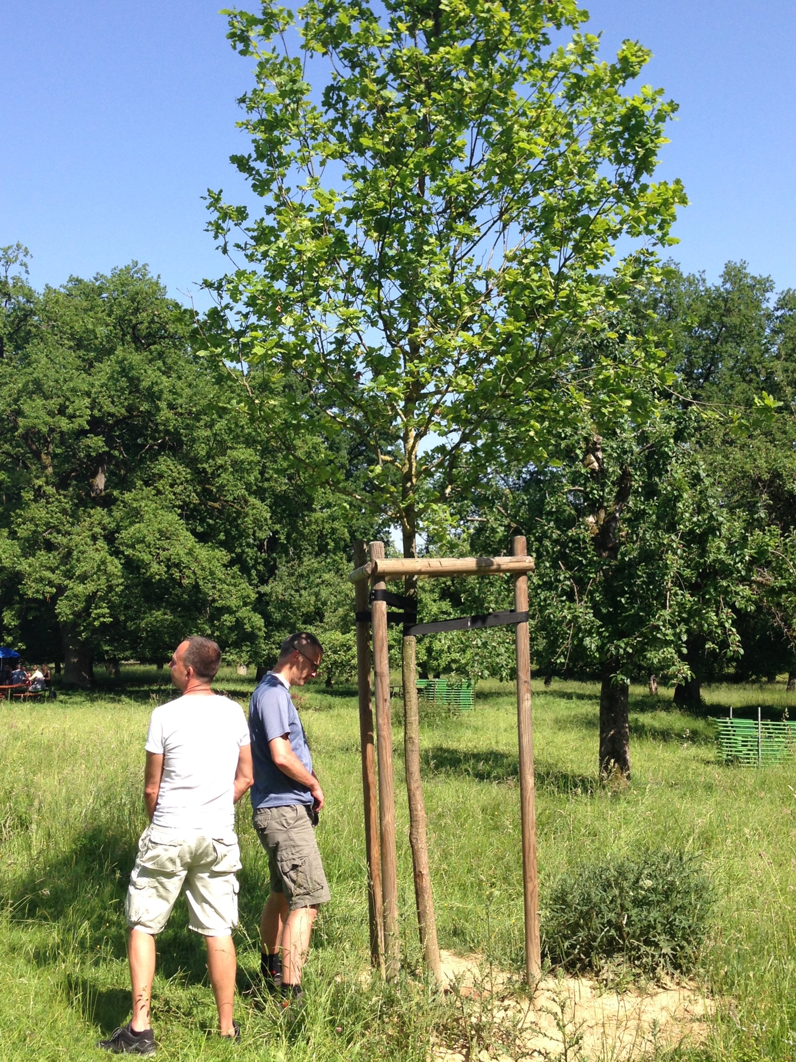 HG 2014 - Bild 29