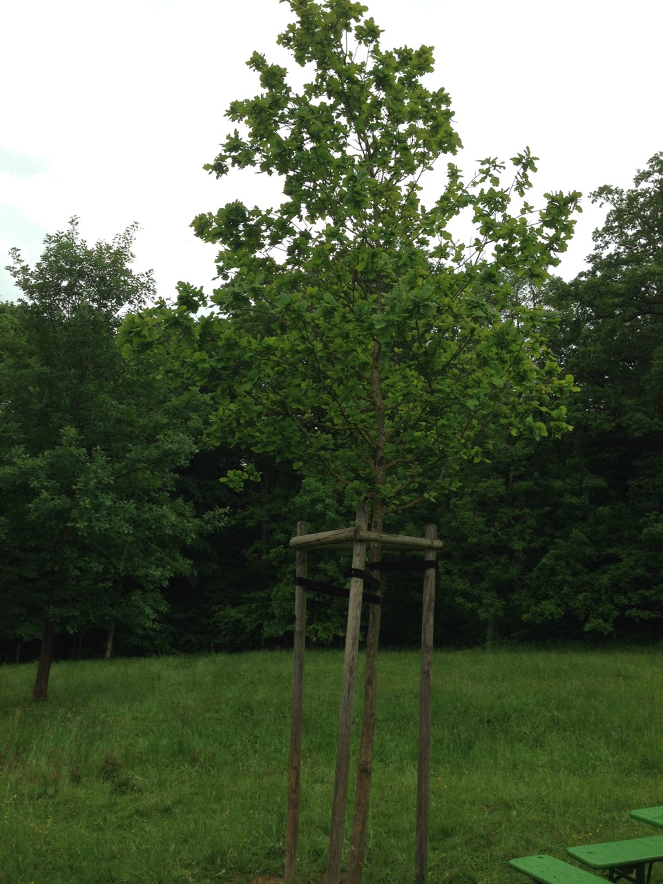 HG 2015 - Bild 20