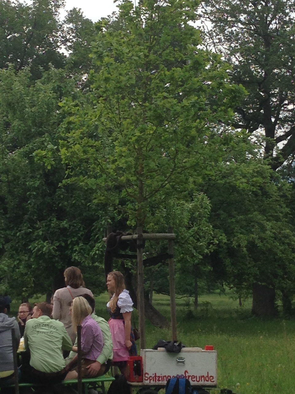 HG 2015 - Bild 5