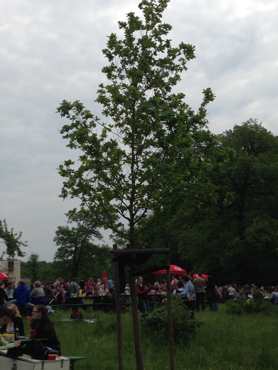 HG 2015 - Bild 8