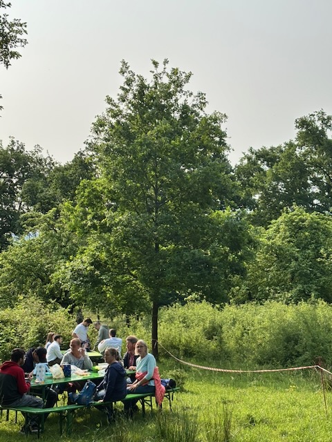HG 2025 - Bild 6