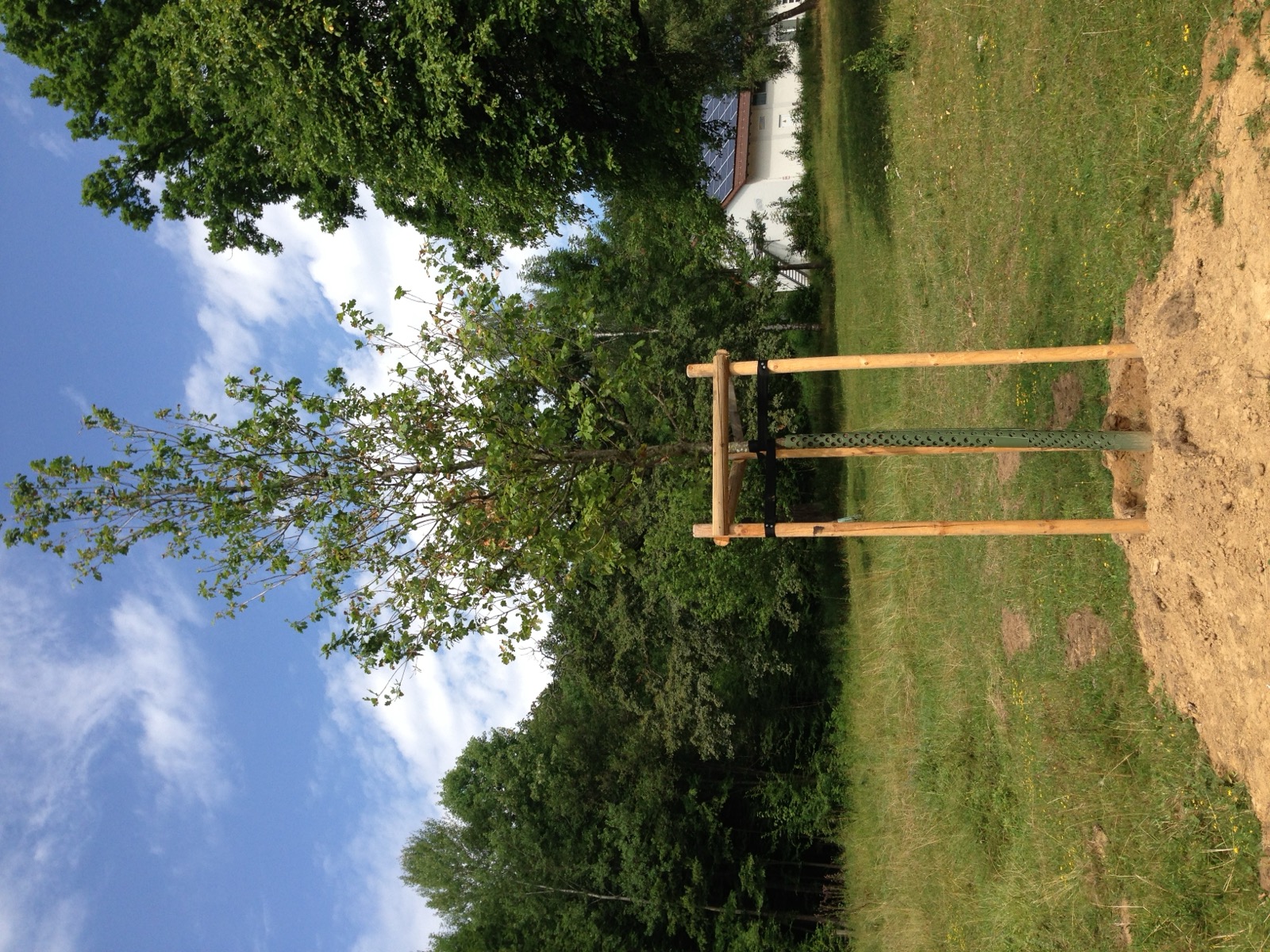 HG-Baum 2013