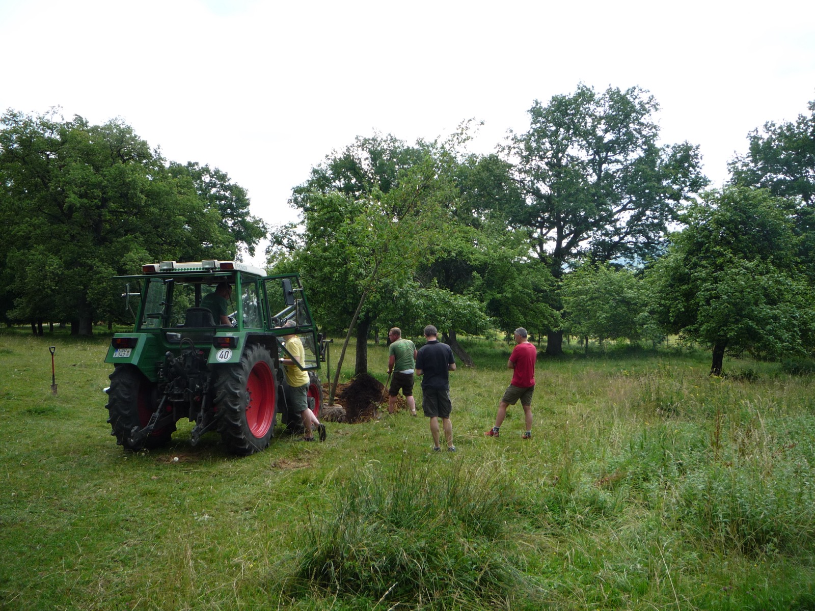 Pflanzung 2013 - Bild 17
