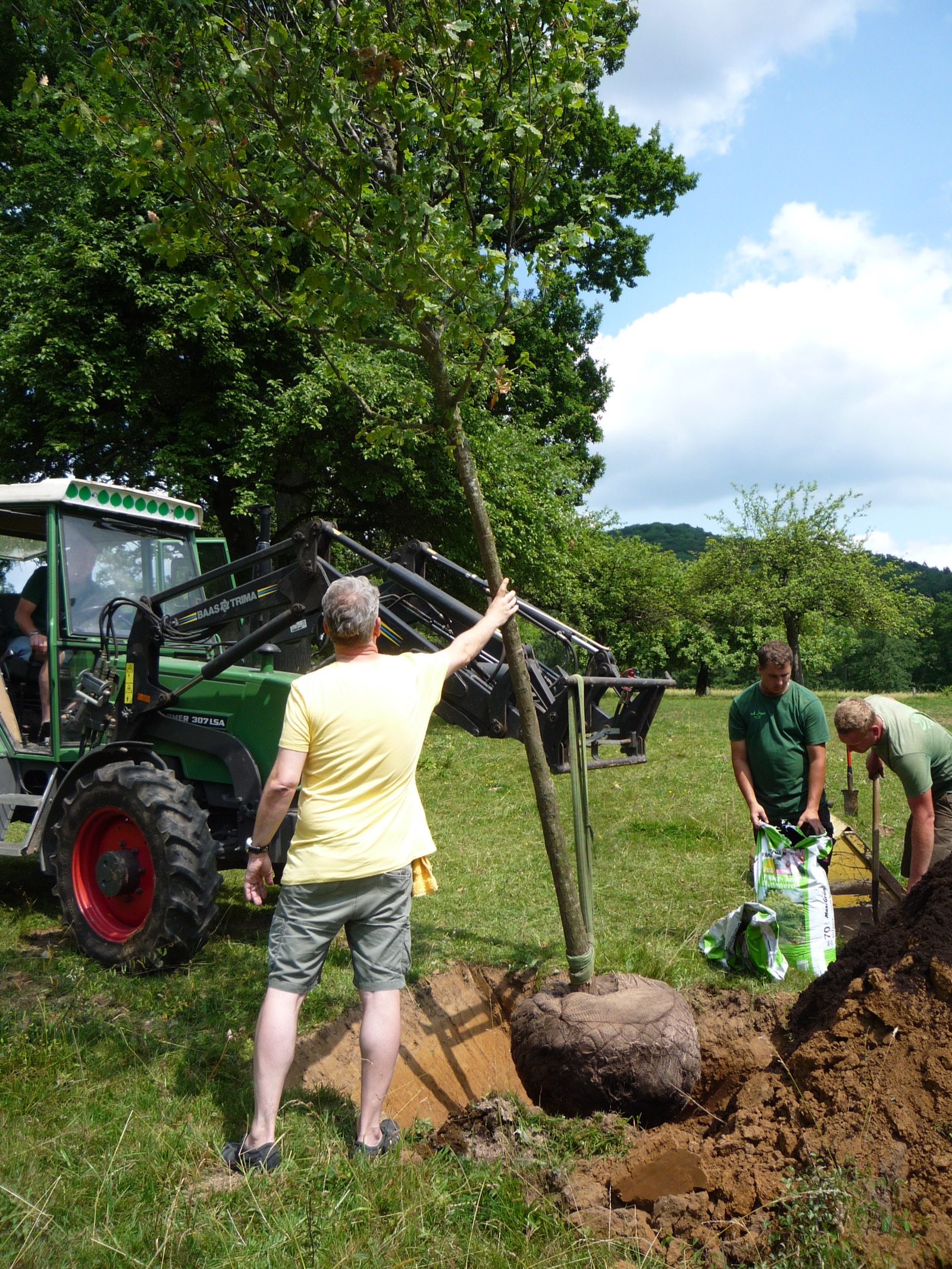 Pflanzung 2013 - Bild 20