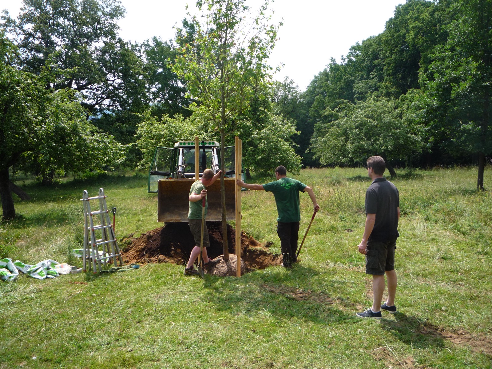 Pflanzung 2013 - Bild 23