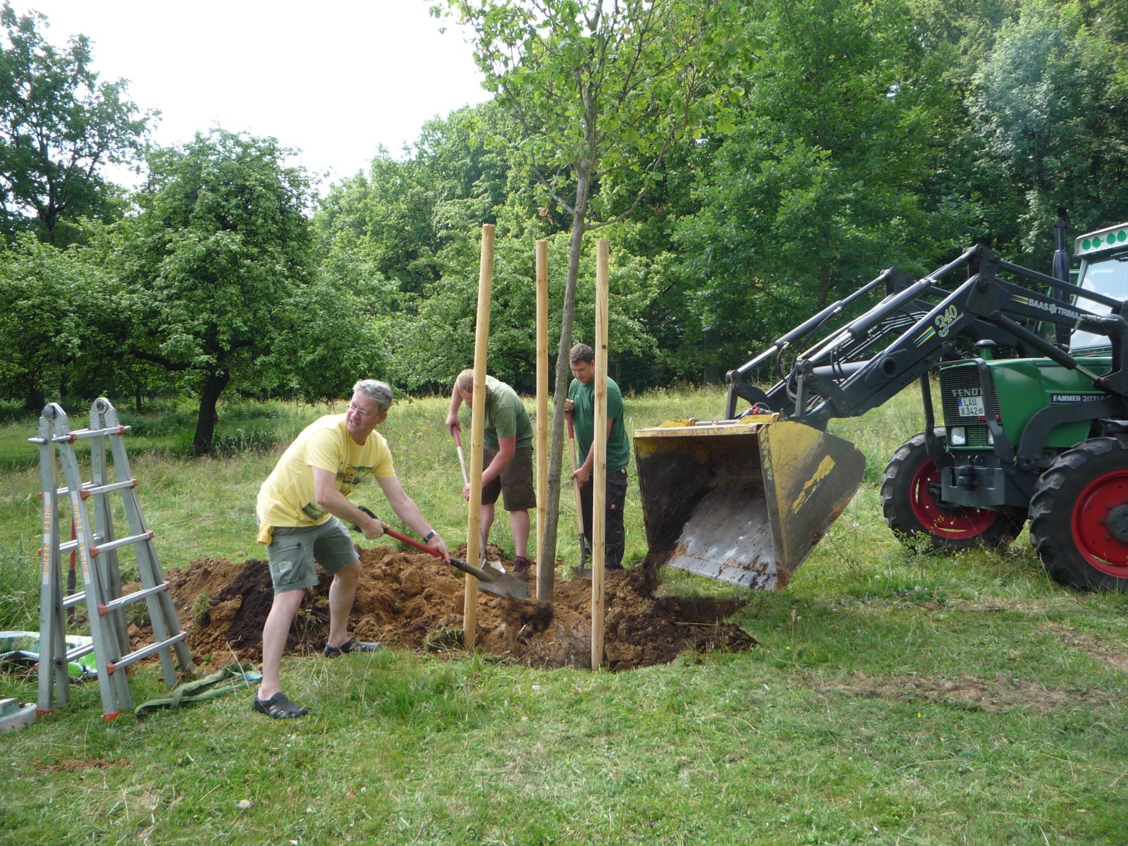 Pflanzung 2013 - Bild 24