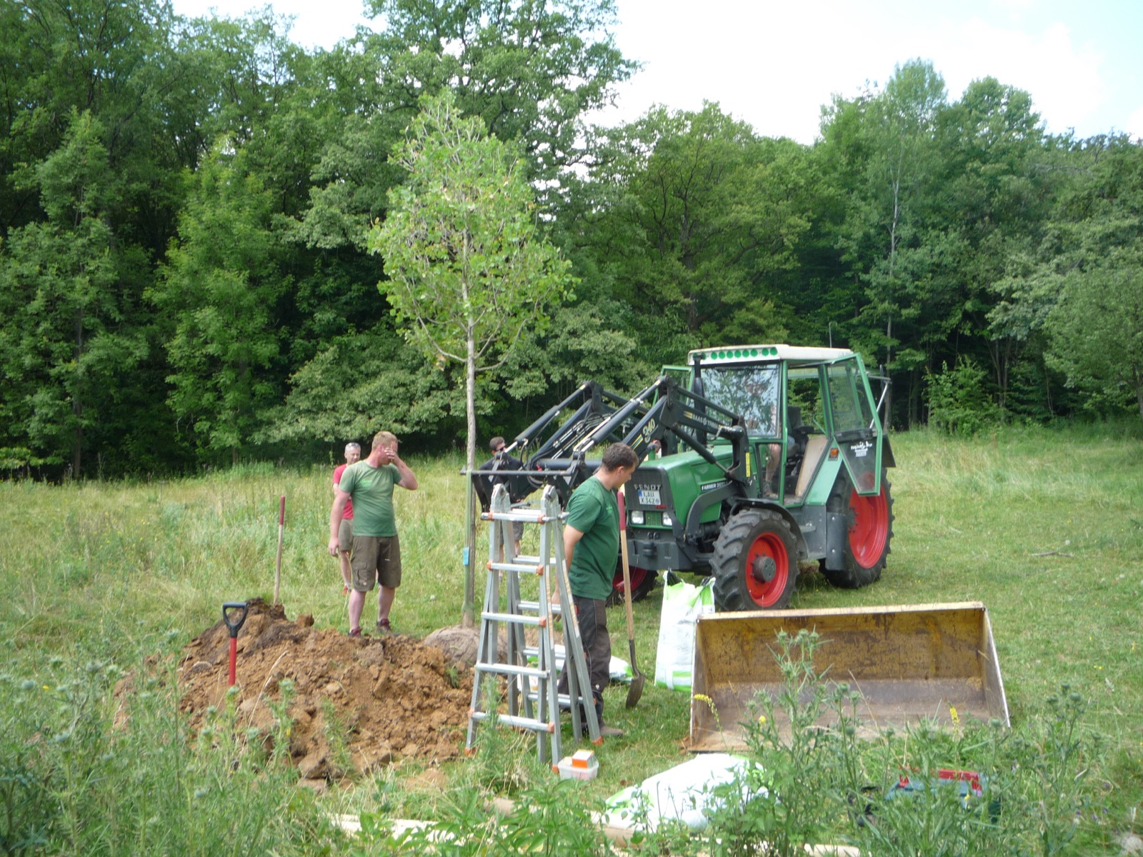 Pflanzung 2013 - Bild 30