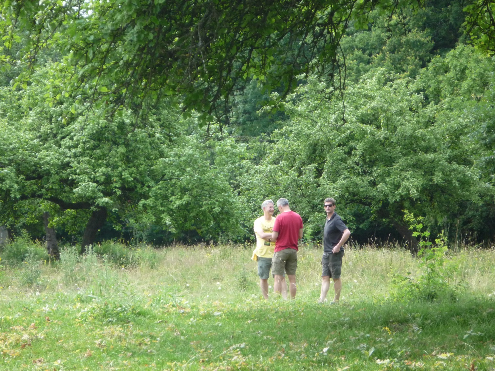 Pflanzung 2013 - Bild 5