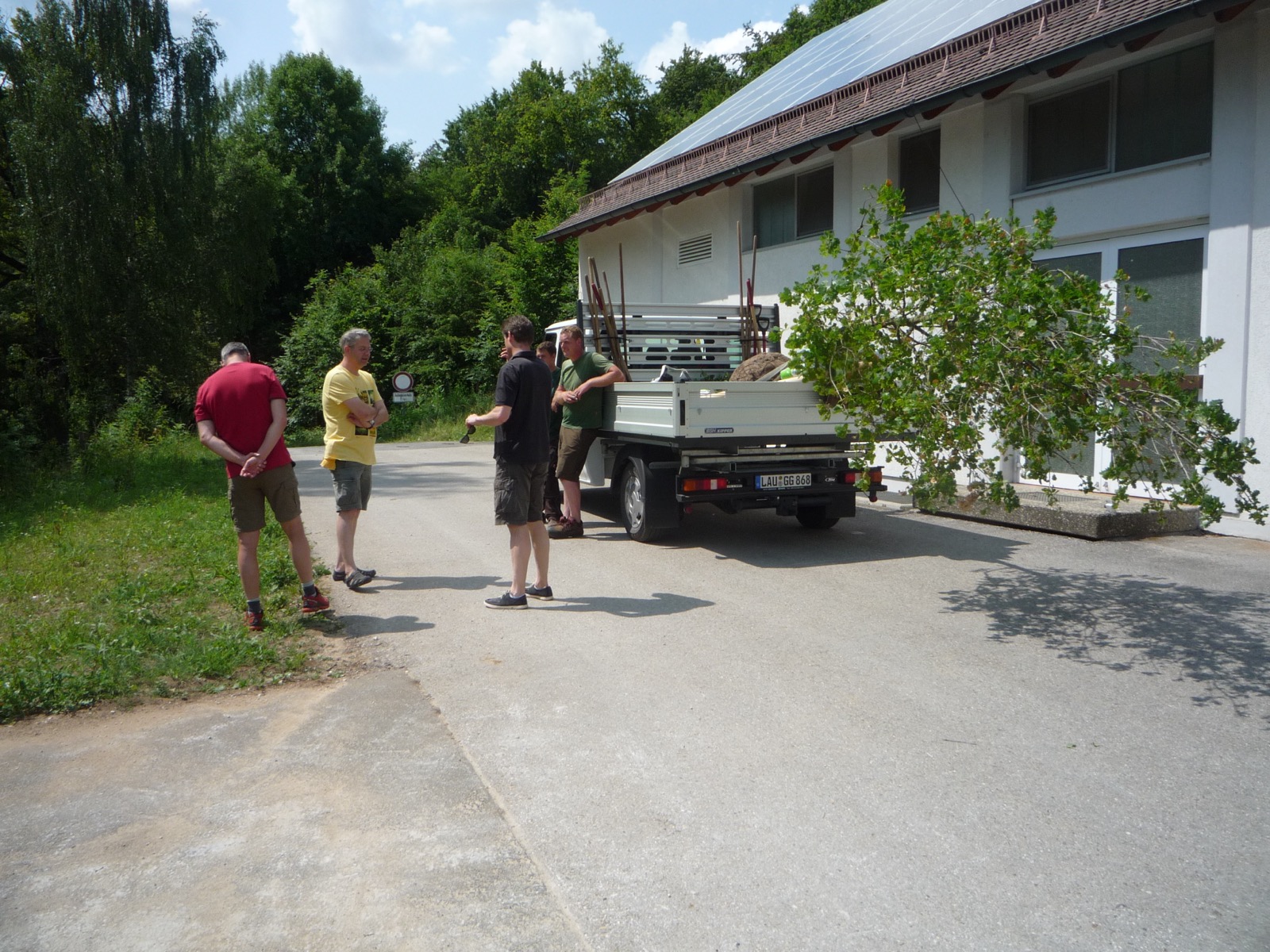 Pflanzung 2013 - Bild 6