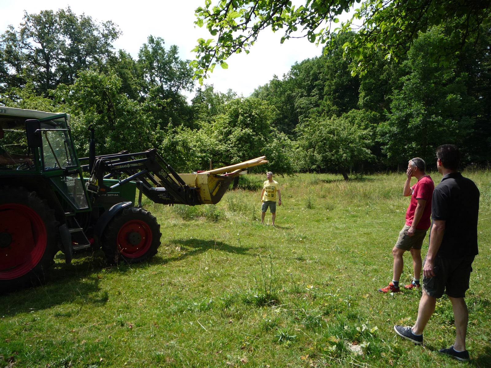 Pflanzung 2013 - Bild 8